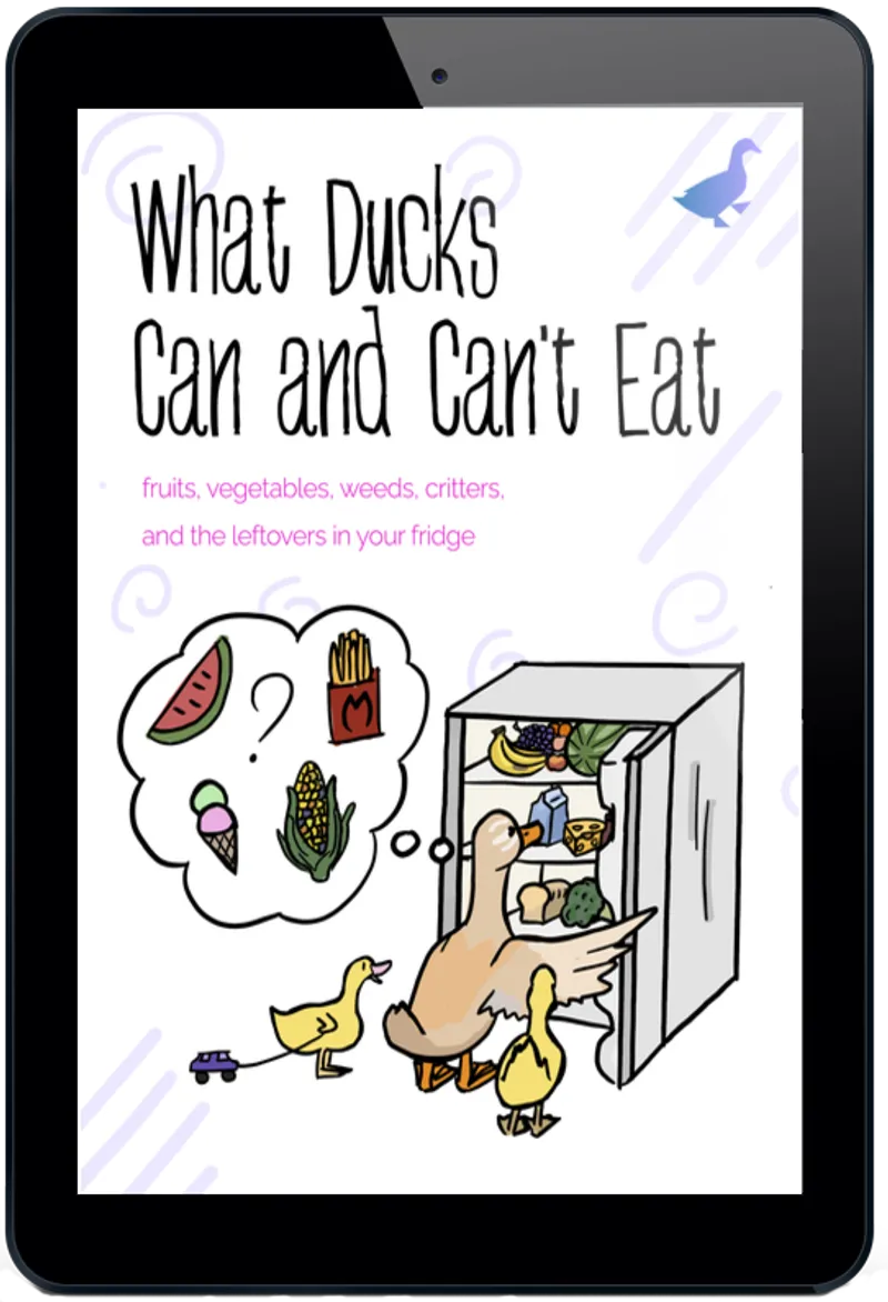 What Ducks Can and Can't Eat