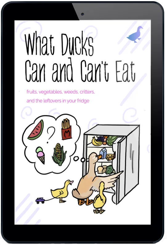 What Ducks Can and Can't Eat